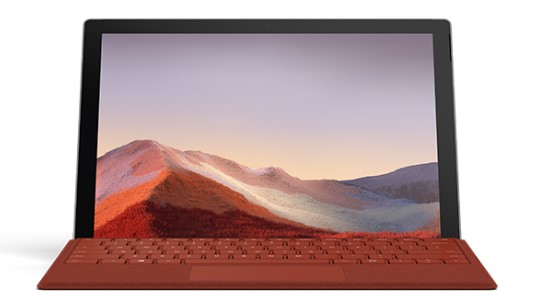 托克托清洁和维护 Surface